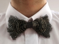 instructables CsiGiRe Feather Bow Tie